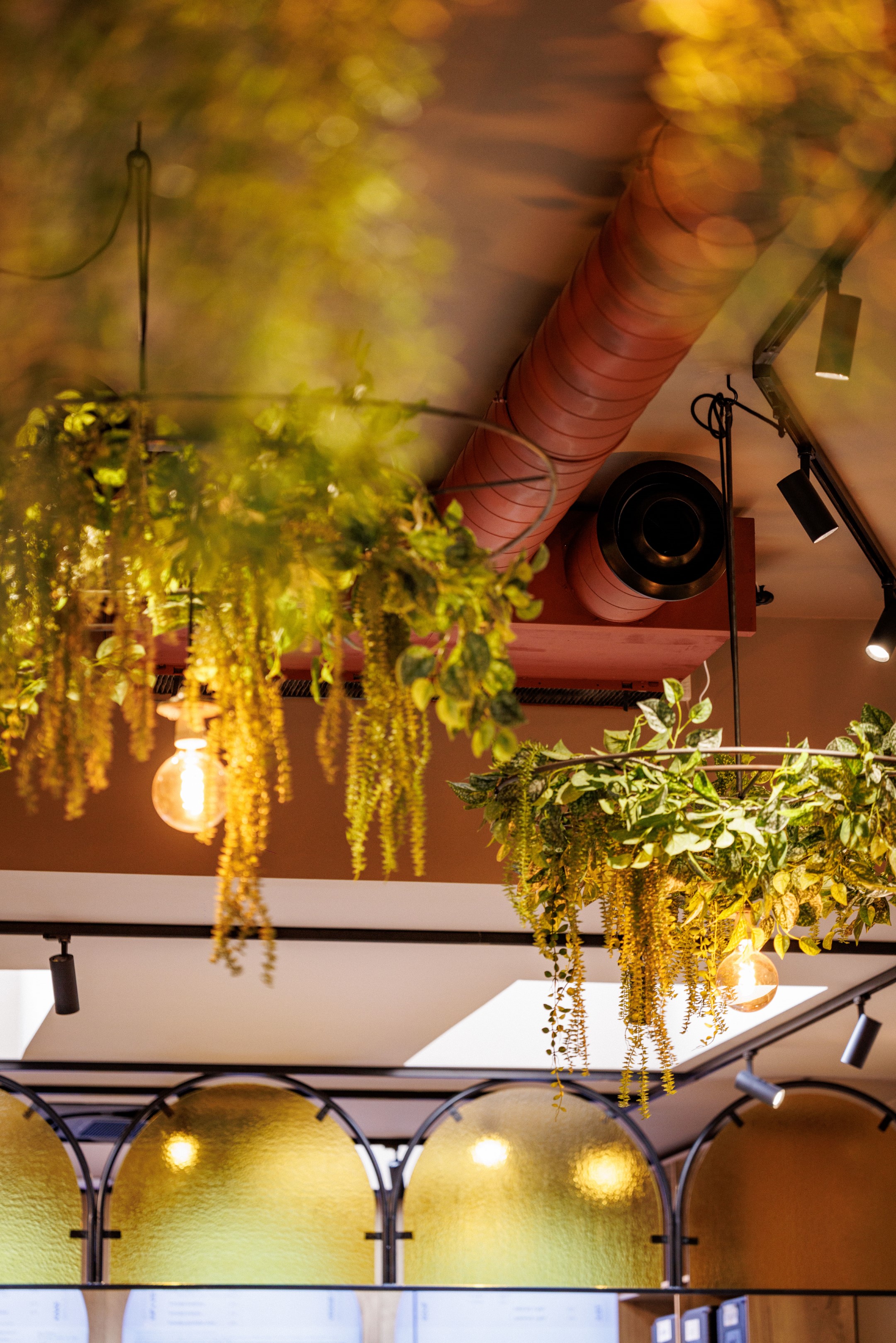 Hangende planten en warme verlichting